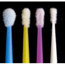 Micro Applicator Brush