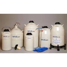 Dewar Liquid Nitrogen Storage Tank, 20L