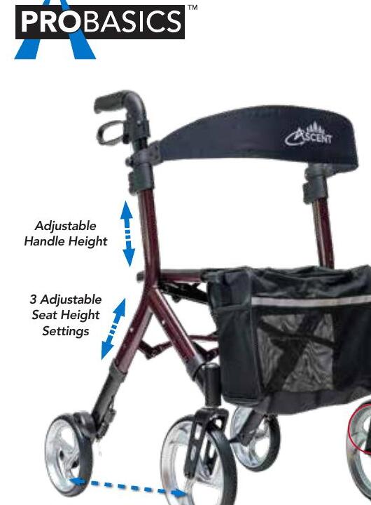 Ascent Euro-style rollator color family