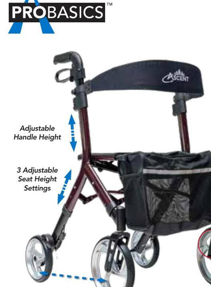 Ascent Euro-style rollator color family