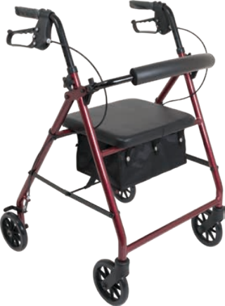 ProBasics Aluminum Rollator with 6-inch Wheels
